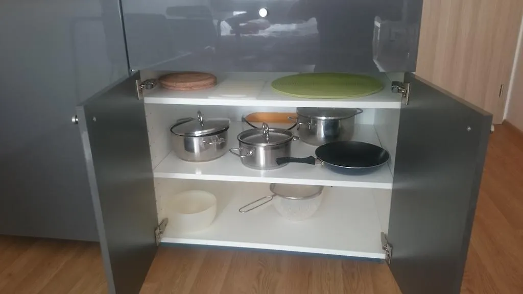 Apartment Zaksinska Praag