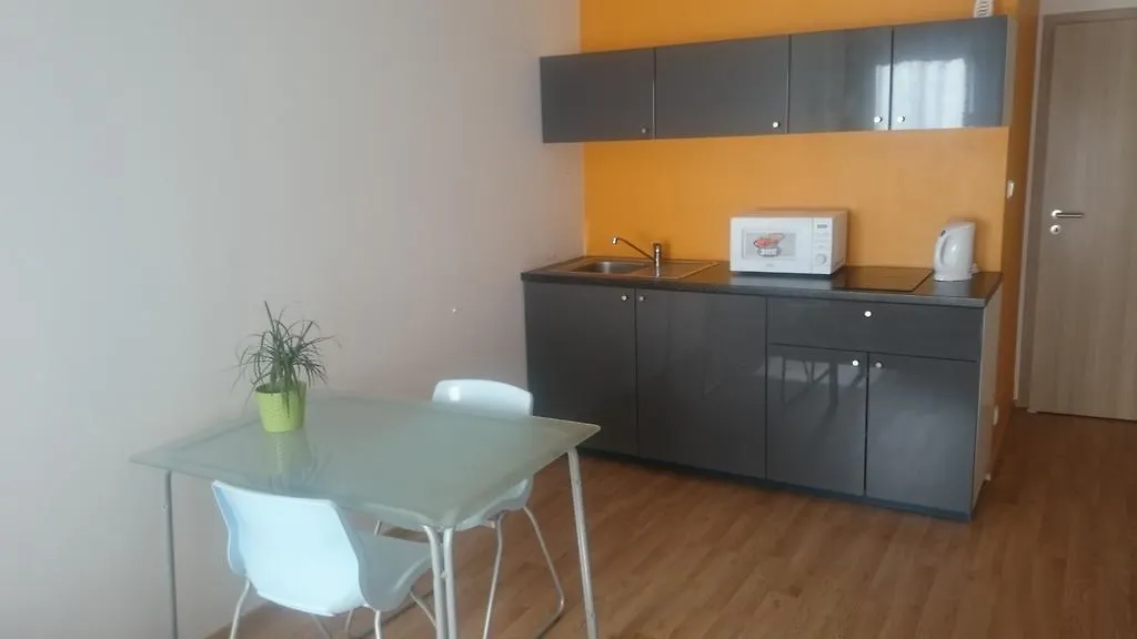 Apartment Zaksinska Praag